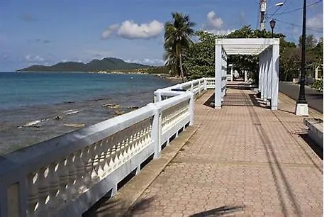 Crash And Go Glamping Campsite -Like Visiting Your Own Family 47-Usd N Booking Fees -10Ft Tent Queen Bed -5 Minutes Walk Bio Bay Stations, Walk To Beaches Esperanza -Sunbay-Black Sand And 5 Minutes Walk To Restaurants Hotel Vieques 0*,